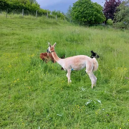 Landhaus Karawankenblick