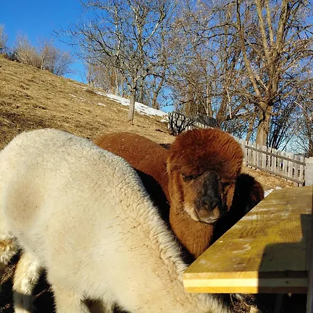 Landhaus Karawankenblick Appartement